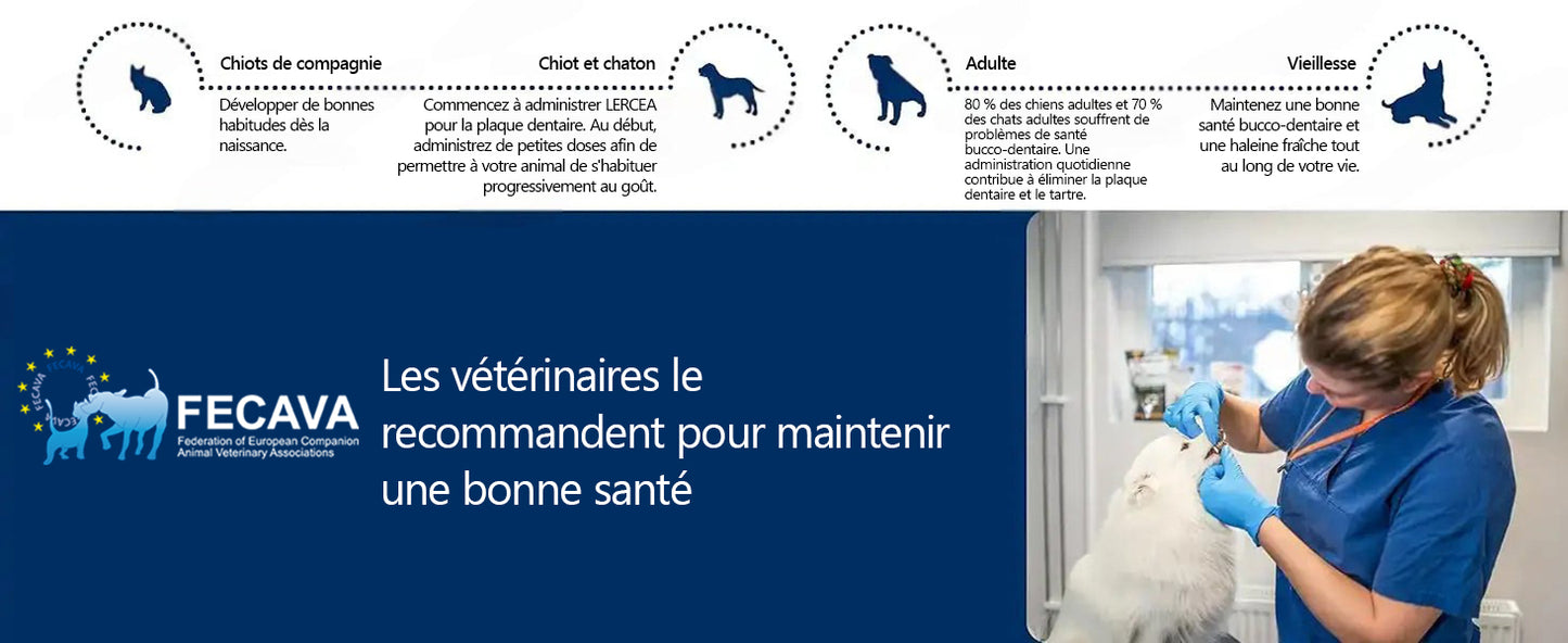 [𝑩𝒐𝒖𝒕𝒊𝒒𝒖𝒆 𝑶𝒇𝒇𝒊𝒄𝒊𝒆𝒍𝒍𝒆]🥇🥇 𝑳𝙀𝙍𝑪𝙀𝑨®𝗟𝐢𝐪𝒖𝗶𝗱𝗲 𝗢𝒓𝒂𝗹 𝒑𝒐𝙪𝙧 𝗹𝗮 𝑺𝒂𝒏𝒕é 𝐃𝐞𝐧𝒕𝒂𝗶𝗿𝗲 𝗲𝘁 𝗗𝗶𝐠𝐞𝘀𝘁𝗶𝘃𝗲 𝐝𝗲𝘀 𝐀𝐧𝗶𝗺𝗮𝘂𝘅 – Nettoyage dentaire, haleine fraîche, élimine le tartre, soutient la régénération des gencives (pour chats et chiens)