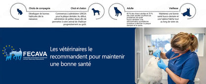 [𝑩𝒐𝒖𝒕𝒊𝒒𝒖𝒆 𝑶𝒇𝒇𝒊𝒄𝒊𝒆𝒍𝒍𝒆]🥇🥇 𝑳𝙀𝙍𝑪𝙀𝑨®𝗟𝐢𝐪𝒖𝗶𝗱𝗲 𝗢𝒓𝒂𝗹 𝒑𝒐𝙪𝙧 𝗹𝗮 𝑺𝒂𝒏𝒕é 𝐃𝐞𝐧𝒕𝒂𝗶𝗿𝗲 𝗲𝘁 𝗗𝗶𝐠𝐞𝘀𝘁𝗶𝘃𝗲 𝐝𝗲𝘀 𝐀𝐧𝗶𝗺𝗮𝘂𝘅 – Nettoyage dentaire, haleine fraîche, élimine le tartre, soutient la régénération des gencives (pour chats et chiens)