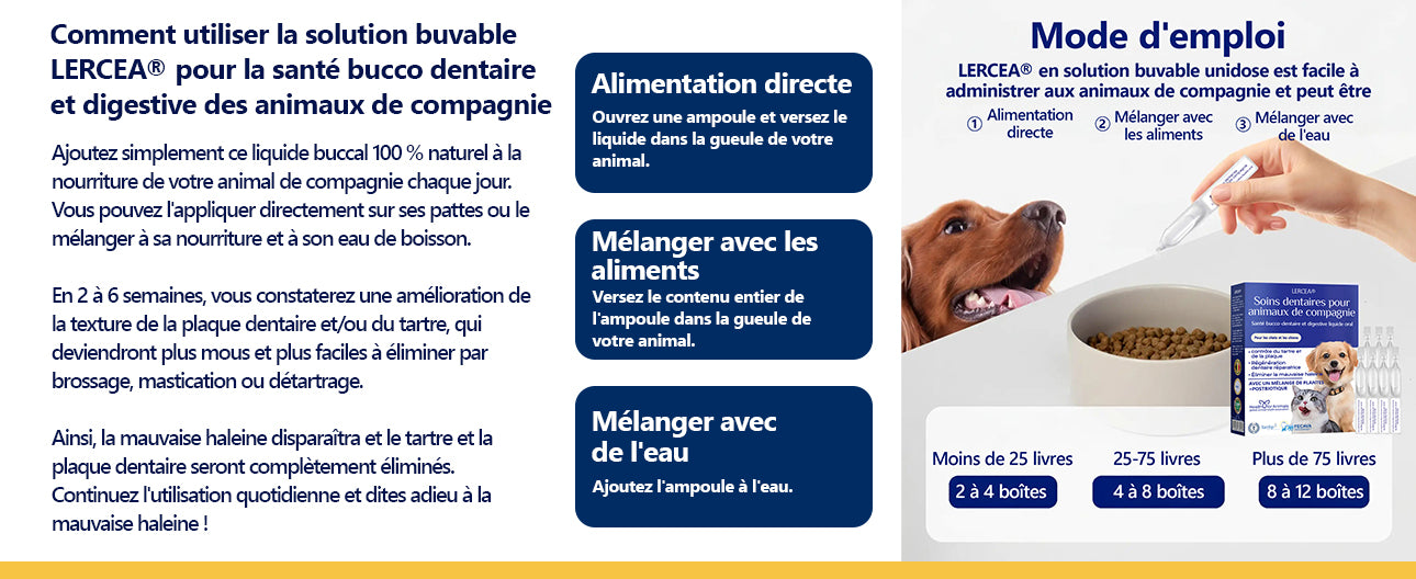 [𝑩𝒐𝒖𝒕𝒊𝒒𝒖𝒆 𝑶𝒇𝒇𝒊𝒄𝒊𝒆𝒍𝒍𝒆]🥇🥇 𝑳𝙀𝙍𝑪𝙀𝑨®𝗟𝐢𝐪𝒖𝗶𝗱𝗲 𝗢𝒓𝒂𝗹 𝒑𝒐𝙪𝙧 𝗹𝗮 𝑺𝒂𝒏𝒕é 𝐃𝐞𝐧𝒕𝒂𝗶𝗿𝗲 𝗲𝘁 𝗗𝗶𝐠𝐞𝘀𝘁𝗶𝘃𝗲 𝐝𝗲𝘀 𝐀𝐧𝗶𝗺𝗮𝘂𝘅 – Nettoyage dentaire, haleine fraîche, élimine le tartre, soutient la régénération des gencives (pour chats et chiens)