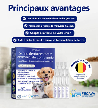 [𝑩𝒐𝒖𝒕𝒊𝒒𝒖𝒆 𝑶𝒇𝒇𝒊𝒄𝒊𝒆𝒍𝒍𝒆]🥇🥇 𝑳𝙀𝙍𝑪𝙀𝑨®𝗟𝐢𝐪𝒖𝗶𝗱𝗲 𝗢𝒓𝒂𝗹 𝒑𝒐𝙪𝙧 𝗹𝗮 𝑺𝒂𝒏𝒕é 𝐃𝐞𝐧𝒕𝒂𝗶𝗿𝗲 𝗲𝘁 𝗗𝗶𝐠𝐞𝘀𝘁𝗶𝘃𝗲 𝐝𝗲𝘀 𝐀𝐧𝗶𝗺𝗮𝘂𝘅 – Nettoyage dentaire, haleine fraîche, élimine le tartre, soutient la régénération des gencives (pour chats et chiens)