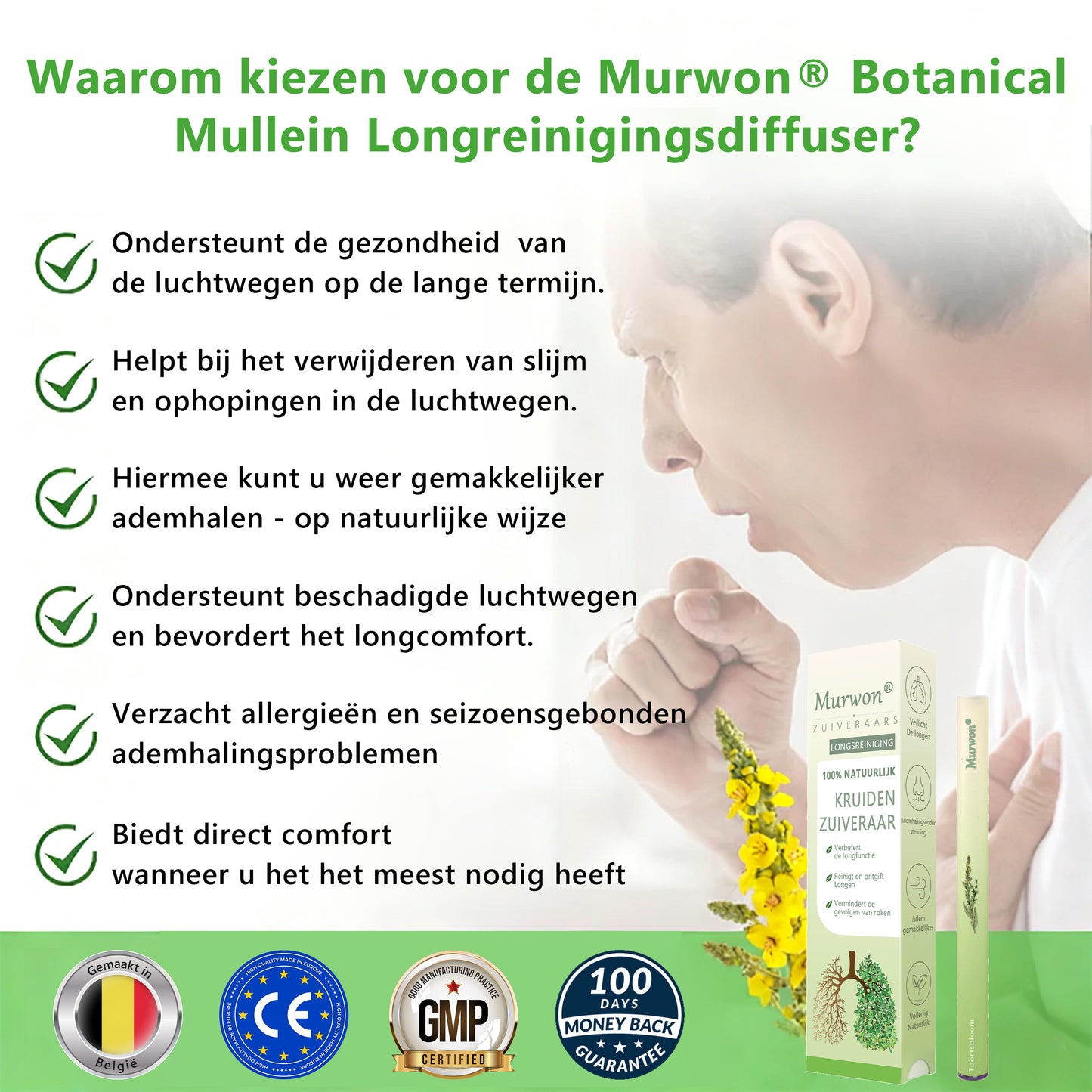 Officiële winkel✨𝗠𝘂𝒓𝑤𝗈𝗇® Botanische koningskaars longreinigingsdiffuser (🫁 Hoest, faryngitis, kortademigheid, slijm, verstopte neus, bronchitis, allergische symptomen, longongemak)1