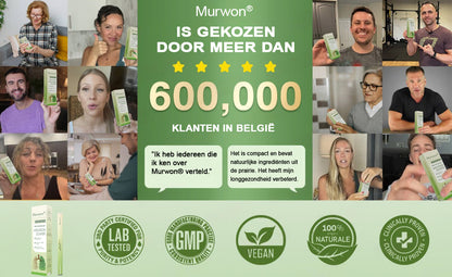 Officiële winkel✨𝗠𝘂𝒓𝑤𝗈𝗇® Botanische koningskaars longreinigingsdiffuser (🫁 Hoest, faryngitis, kortademigheid, slijm, verstopte neus, bronchitis, allergische symptomen, longongemak)1