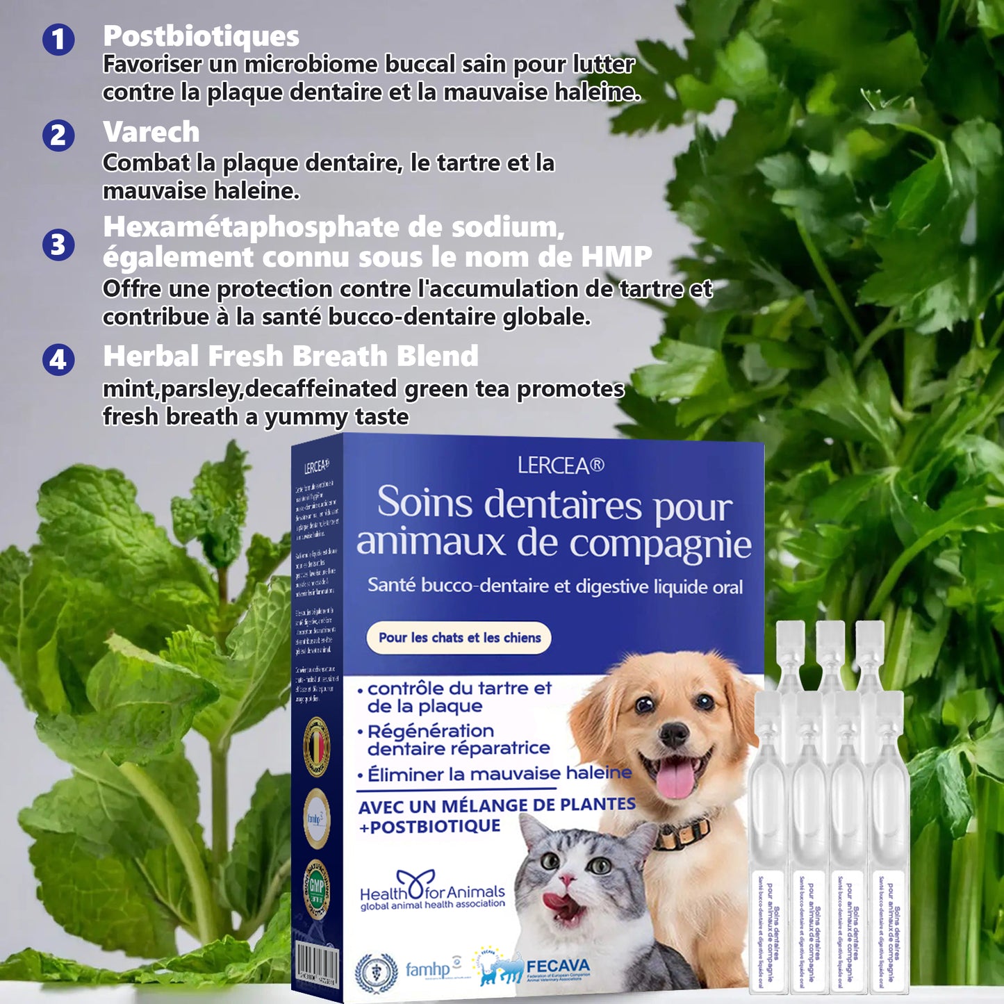 [𝑩𝒐𝒖𝒕𝒊𝒒𝒖𝒆 𝑶𝒇𝒇𝒊𝒄𝒊𝒆𝒍𝒍𝒆]🥇🥇 𝑳𝙀𝙍𝑪𝙀𝑨®𝗟𝐢𝐪𝒖𝗶𝗱𝗲 𝗢𝒓𝒂𝗹 𝒑𝒐𝙪𝙧 𝗹𝗮 𝑺𝒂𝒏𝒕é 𝐃𝐞𝐧𝒕𝒂𝗶𝗿𝗲 𝗲𝘁 𝗗𝗶𝐠𝐞𝘀𝘁𝗶𝘃𝗲 𝐝𝗲𝘀 𝐀𝐧𝗶𝗺𝗮𝘂𝘅 – Nettoyage dentaire, haleine fraîche, élimine le tartre, soutient la régénération des gencives (pour chats et chiens)
