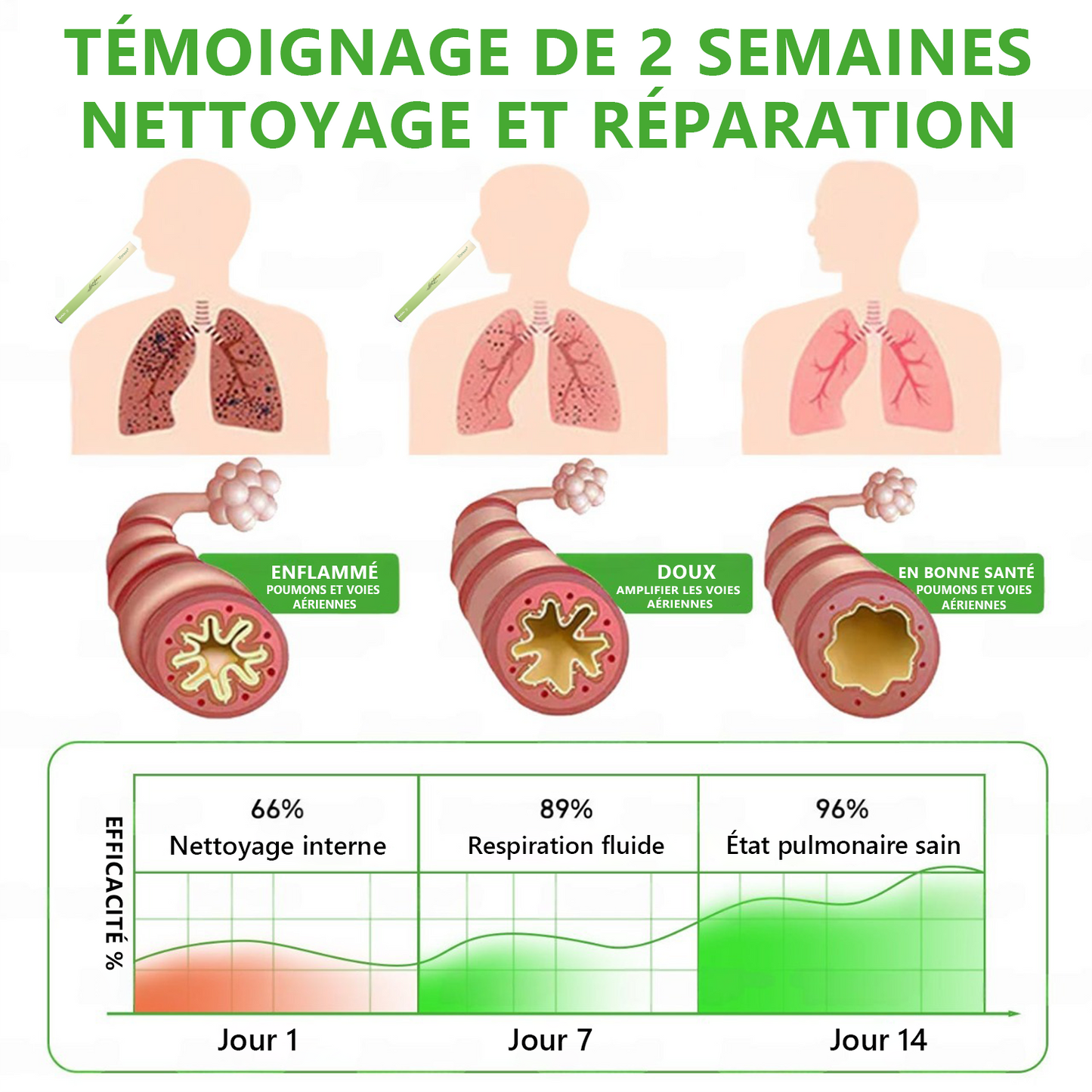 𝐃é𝐭𝐞𝐧𝐮𝐞 𝐞𝐭 𝐞𝐱𝐩𝐥𝐨𝐢𝐭é𝐞 𝐩𝐚𝐫 𝐥𝐚 𝐁𝐞𝐥𝐠𝐢𝐪𝐮𝐞✅ 𝑴𝒖𝒓𝙬𝙤𝐧® 𝑫𝒊𝒇𝒇𝒖𝒔𝒆𝒖𝒓 𝒅𝒆 𝑵𝒆𝒕𝒕𝒐𝒚𝒂𝒈𝒆 𝑷𝒖𝒍𝒎𝒐𝒏𝒂𝒊𝒓𝒆 à 𝒍𝒂 𝑴𝒐𝒍è𝒏𝒆 𝑩𝒐𝒕𝒂𝒏𝒊𝒒𝒖𝒆 (🫁 Toux, Pharyngite, essoufflement, expectorations, nez bouché, bronchite, symptômes allergiques, gêne pulmonaire)1🎉🎉