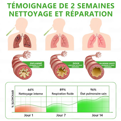 𝐃é𝐭𝐞𝐧𝐮𝐞 𝐞𝐭 𝐞𝐱𝐩𝐥𝐨𝐢𝐭é𝐞 𝐩𝐚𝐫 𝐥𝐚 𝐁𝐞𝐥𝐠𝐢𝐪𝐮𝐞✅ 𝑴𝒖𝒓𝙬𝙤𝐧® 𝑫𝒊𝒇𝒇𝒖𝒔𝒆𝒖𝒓 𝒅𝒆 𝑵𝒆𝒕𝒕𝒐𝒚𝒂𝒈𝒆 𝑷𝒖𝒍𝒎𝒐𝒏𝒂𝒊𝒓𝒆 à 𝒍𝒂 𝑴𝒐𝒍è𝒏𝒆 𝑩𝒐𝒕𝒂𝒏𝒊𝒒𝒖𝒆 (🫁 Toux, Pharyngite, essoufflement, expectorations, nez bouché, bronchite, symptômes allergiques, gêne pulmonaire)1🎉🎉