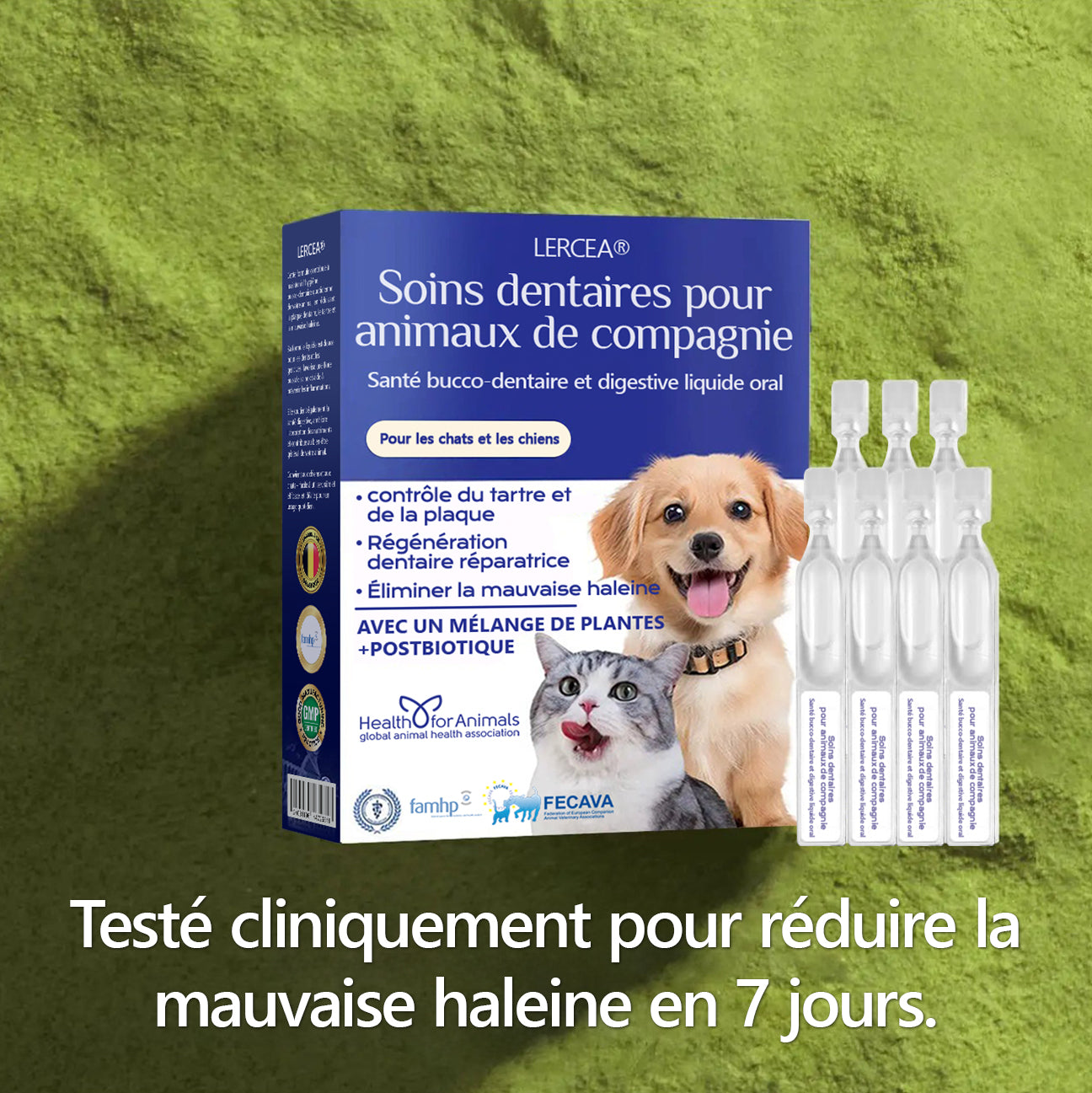 [𝑩𝒐𝒖𝒕𝒊𝒒𝒖𝒆 𝑶𝒇𝒇𝒊𝒄𝒊𝒆𝒍𝒍𝒆]🥇🥇 𝑳𝙀𝙍𝑪𝙀𝑨®𝗟𝐢𝐪𝒖𝗶𝗱𝗲 𝗢𝒓𝒂𝗹 𝒑𝒐𝙪𝙧 𝗹𝗮 𝑺𝒂𝒏𝒕é 𝐃𝐞𝐧𝒕𝒂𝗶𝗿𝗲 𝗲𝘁 𝗗𝗶𝐠𝐞𝘀𝘁𝗶𝘃𝗲 𝐝𝗲𝘀 𝐀𝐧𝗶𝗺𝗮𝘂𝘅 – Nettoyage dentaire, haleine fraîche, élimine le tartre, soutient la régénération des gencives (pour chats et chiens)